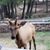Pam John Hill's profile image