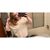 Hailie Luce's profile image
