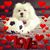 Stephanie McGhee Walker's profile image