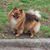 Paula Hecht's profile image