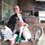 Paul Leavens's profile image