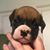 Susan Standley's profile image