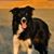 Angela Roesch's profile image