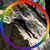 Susy Gadsby's profile image