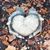 Mitra Bristow's profile image