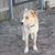 Bob Sawyer's profile image