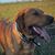Larry Cissna's profile image