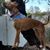 Christine Gaul's profile image