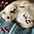 Diane Mae Stoddard's profile image