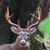 Ken Carson's profile image