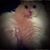 Anita Denney's profile image