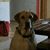 Chris Rykal's profile image