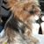 Tammy Perkins's profile image