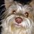 Lindy Hawkins Baxter's profile image