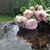 Wendy Montie's profile image