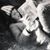 Donne Strawn Magers's profile image