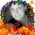 Lori Hauxwell's profile image