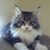 Rita Ohlgren Kinney's profile image
