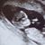 Holly Warburton Hinds's profile image