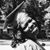 Lashonia Bell Holmes's profile image