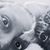 Clariza Chavarria's profile image