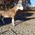 Alisha Michelle Padgett's profile image