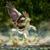 Remle Evol's profile image