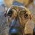 Hollie-Lyn James's profile image