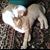 Alissa Smith Zeidler's profile image