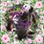 Kelly Myers Licciardi's profile image