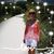 Cheryl Kosec's profile image