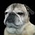 Kathy Coffman-Cuoio's profile image