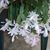 Katherine AndRoger Clapp's profile image