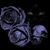 Luli Hernandez's profile image