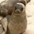 Deb Van Allen's profile image