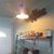Tricia Cracraft's profile image