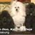 Janet Benchoff Choate's profile image