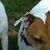 Darlene Kalczynski's profile image