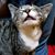 Dewayne Prater's profile image
