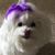 Jacki Campbell's profile image