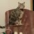 Deb Clarry's profile image