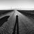 Justin Tedford's profile image