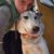 Jen Jeram's profile image