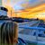 Sharon McCusker Moore's profile image