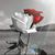Patricia Johnson's profile image