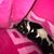 Carol Hopke's profile image