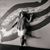 Loida Rodriguez Acevedo's profile image