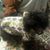 Sandra Jane Sullivan's profile image
