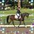 Melissa Pedegana Bailey's profile image