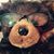 Gail Block Rabinowitz's profile image